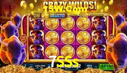 Suporte prioritário e eventos VIP